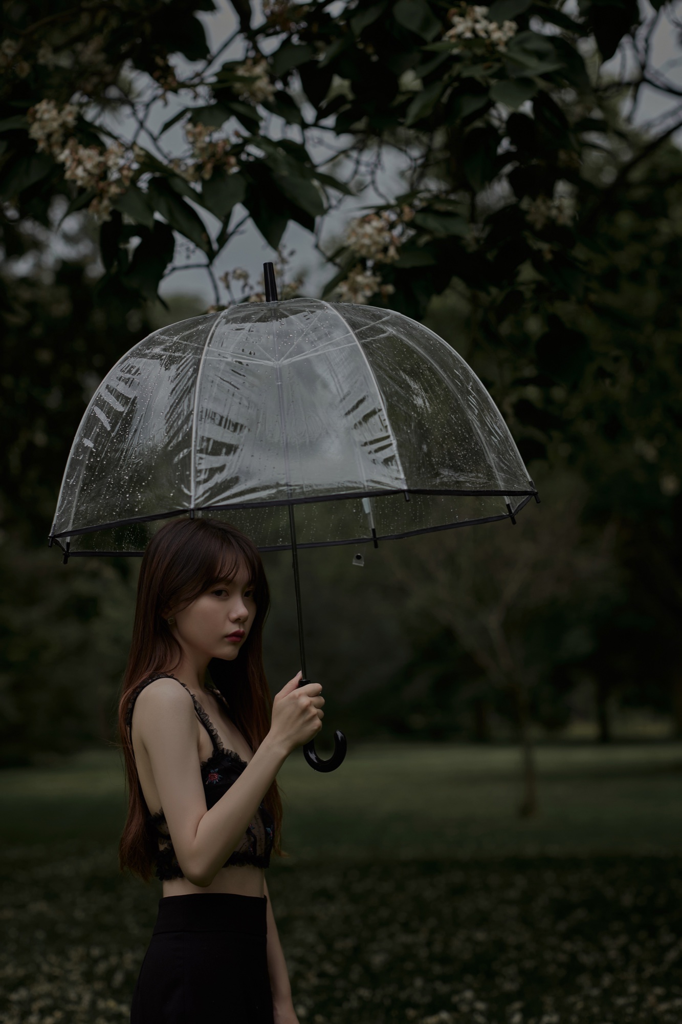 A portrait beneath a clear umbrella in a rain-darkened garden